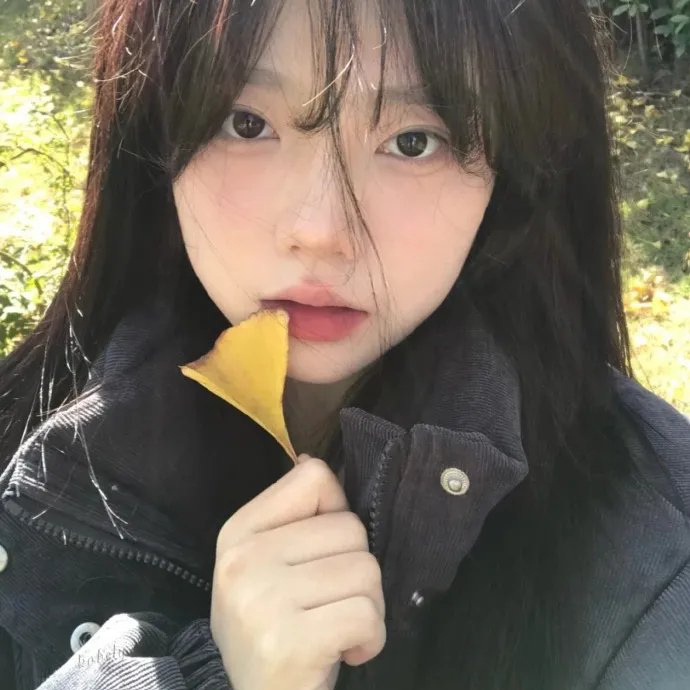 尽管去爱
