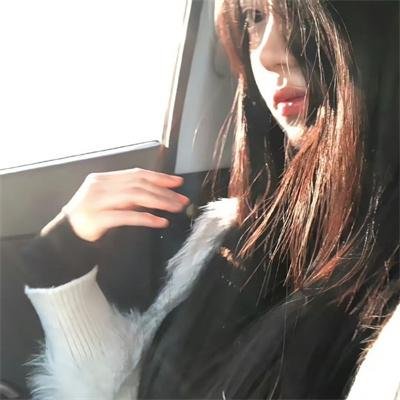 战略特勤组